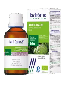 Extrait de plante artichaut bio