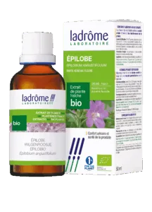 Extrait de plante épilobe bio