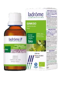 Extrait de plante ginkgo biloba bio
