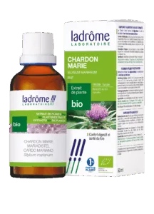 Extrait de plante chardon marie bio