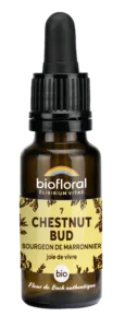 Fleurs de Bach 07 chestnut bud bio