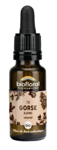 Fleurs de Bach 13 gorse bio