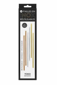 Pailles inox x6