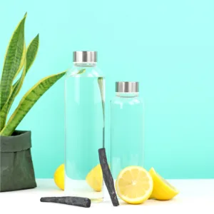 Lot de 2 charbons actifs