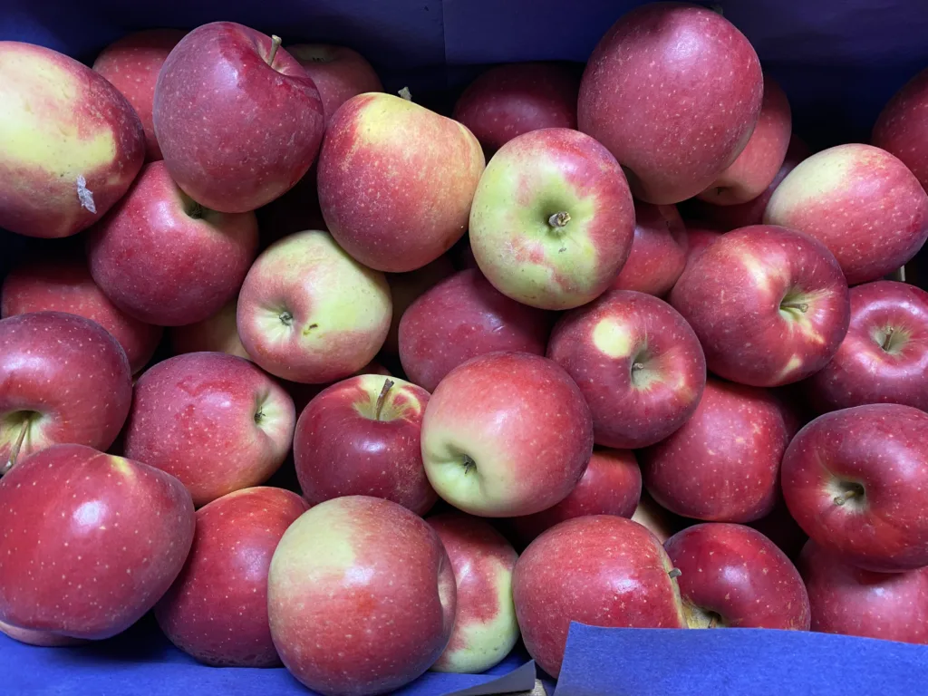 Pomme mandy France