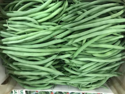 Haricot vert France bio