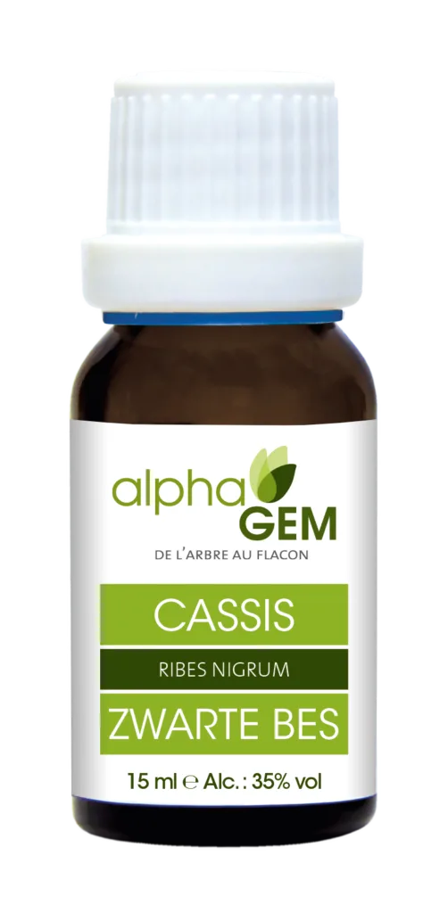 Cassis bio