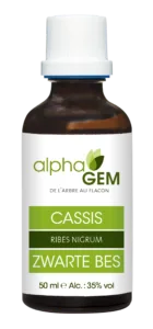 Cassis bio
