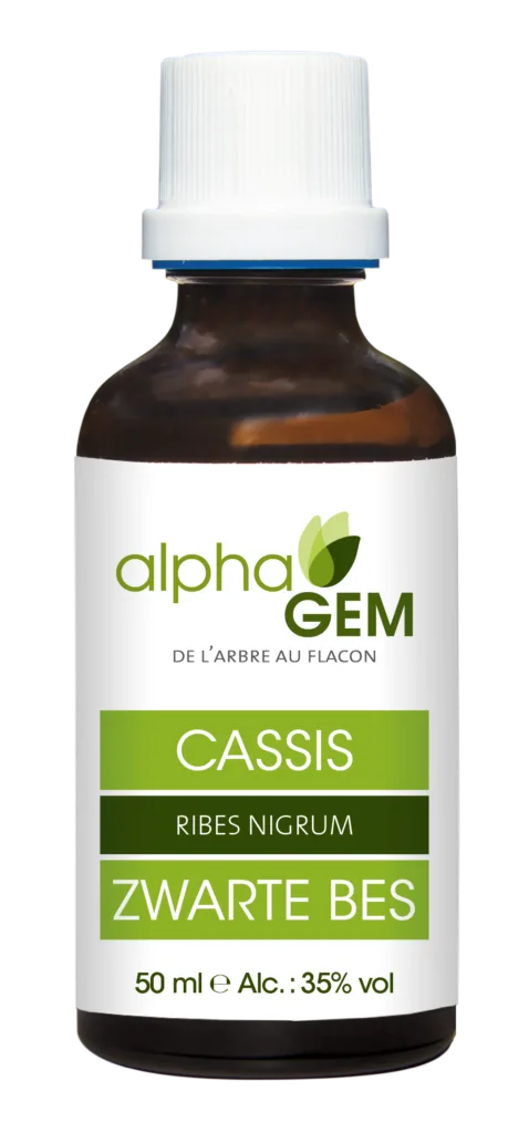 Cassis bio