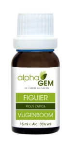 Figuier bio