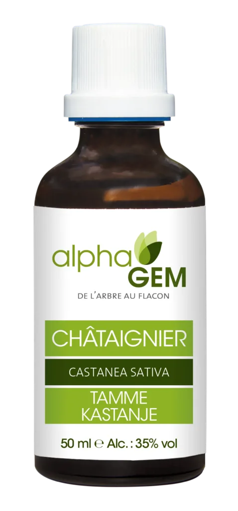 Chataignier bio