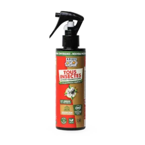 Spray insecticide foudroyant